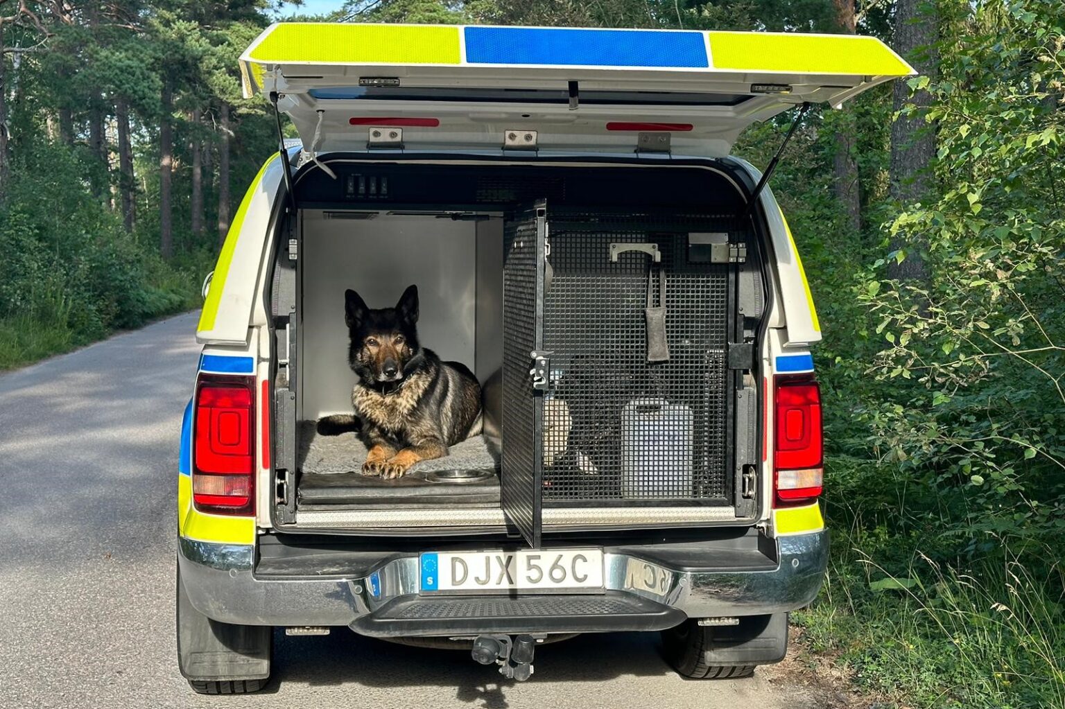 Polishundar F r Flytta Till Baks tet Polistidningen polishundar-f-r-flytta-till-baks-tet-polistidningen